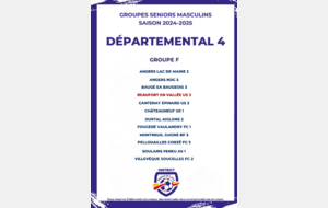 GROUPE D4 - SENIORS 3 - 2024/2025